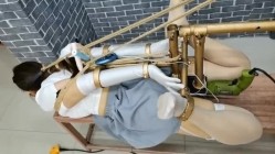 预览图12