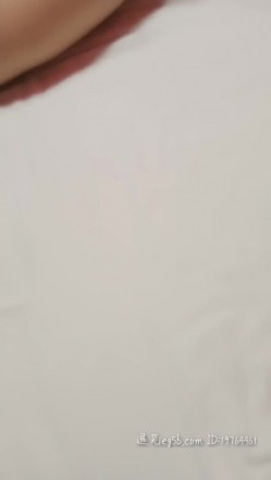 预览图9