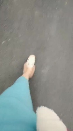 预览图15