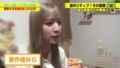 预览图4