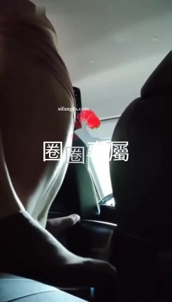 预览图8