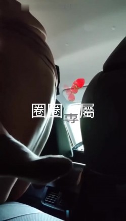 预览图11