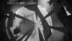 预览图2