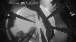 预览图4