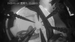 预览图5