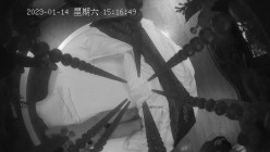预览图9