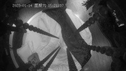 预览图15