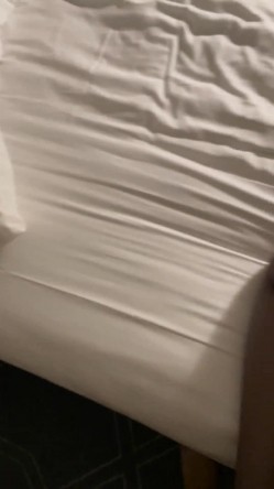 预览图4