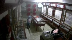 预览图4