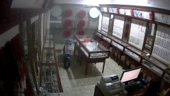 预览图8