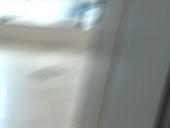 预览图16