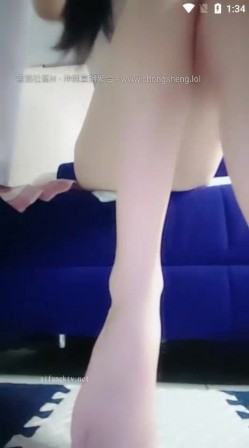 预览图3