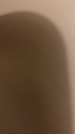 预览图14