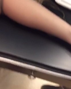 预览图8