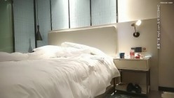 预览图4