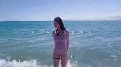 预览图4