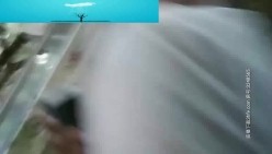 预览图6