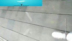 预览图14