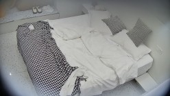 预览图4