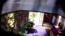 预览图9