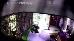 预览图14