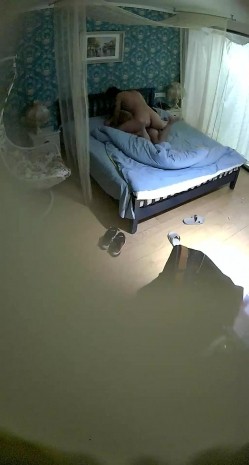 预览图13