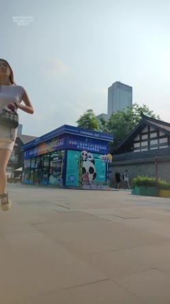 预览图4