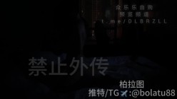 预览图8
