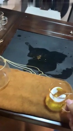 预览图9