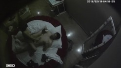 预览图1