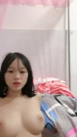 预览图14