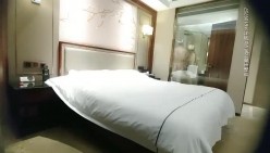 预览图5