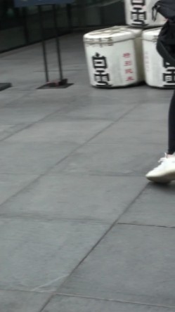 预览图14