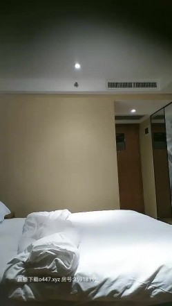 预览图3
