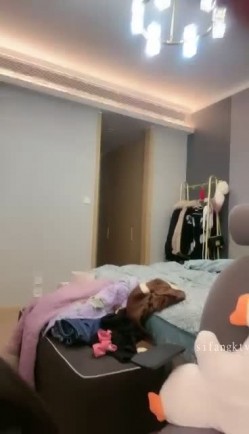 预览图3