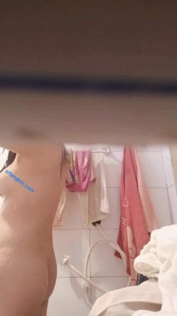 预览图4
