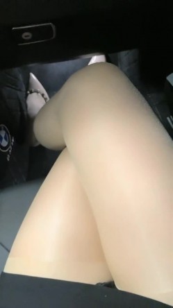 预览图14