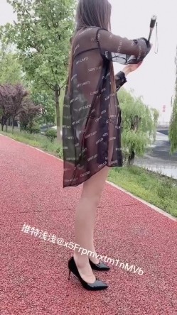 预览图4