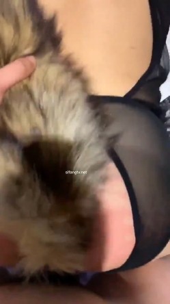 预览图8