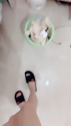 预览图15