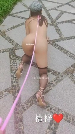 预览图2
