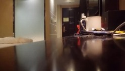 预览图4