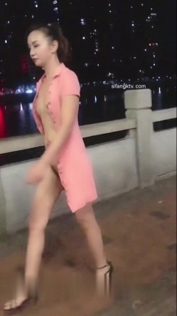 预览图4