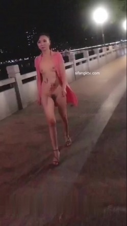 预览图5