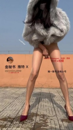 预览图3