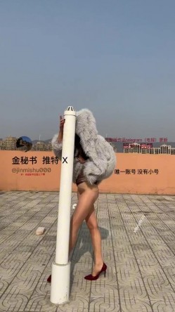 预览图8