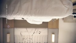 预览图4
