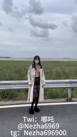 预览图1