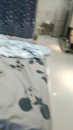 预览图9