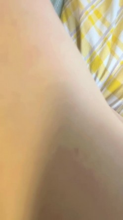 预览图11